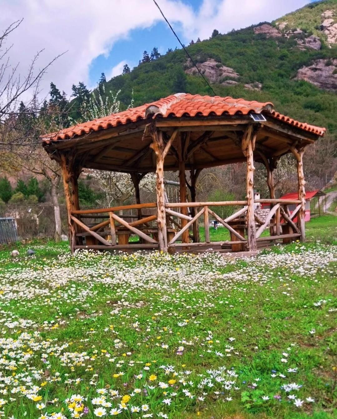 Michel Studios Калаврита Екстериор снимка